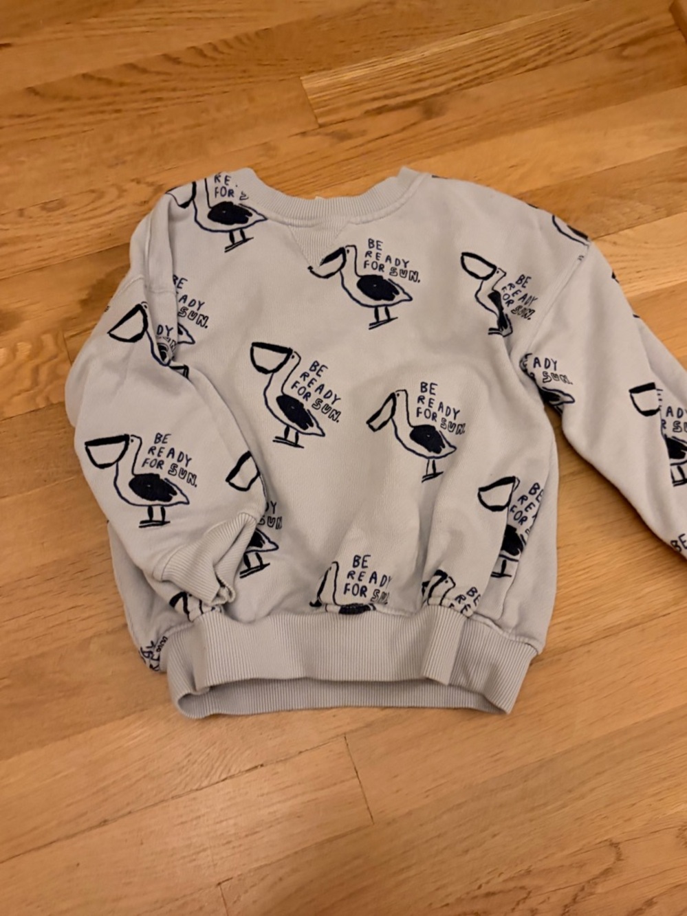 Zara Light blue Pullover Sweatshirt with Navy Pelican Print